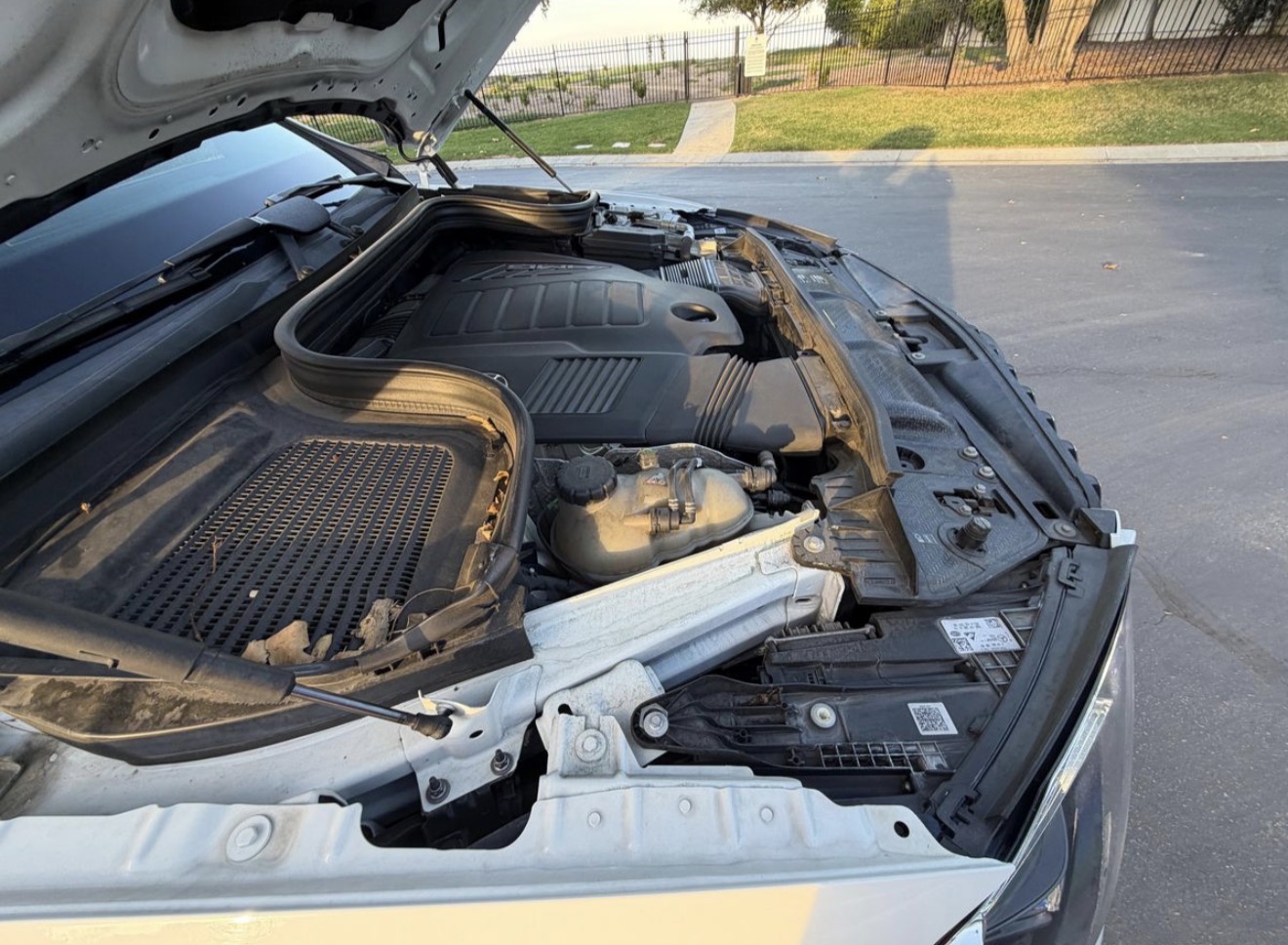 Car photo
